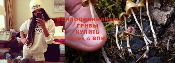 молекула духа Баксан