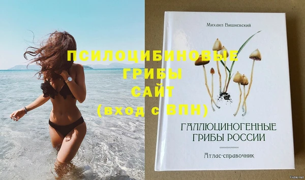молекула духа Баксан