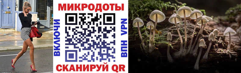 Псилоцибиновые грибы Cubensis  даркнет сайт  Мурманск 