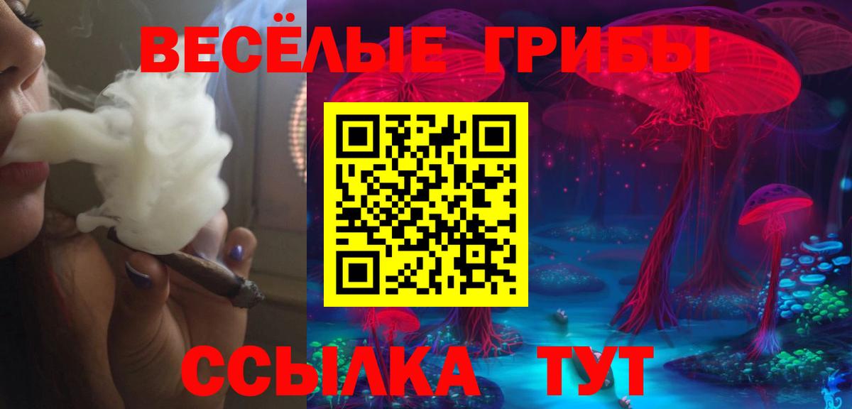 Галлюциногенные грибы Cubensis  Вход с VPN  Мурманск  Псилоцибиновые грибы мухоморы 